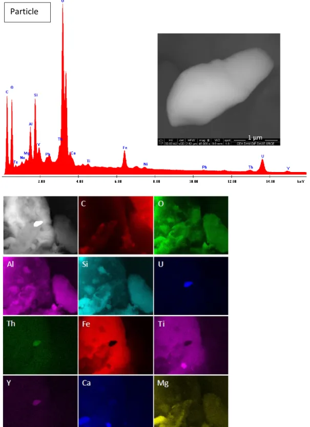 Fig. 2 Electronic image, EDX spectrum and elemental mapping of the particle #1 identified as an U-bearing particle