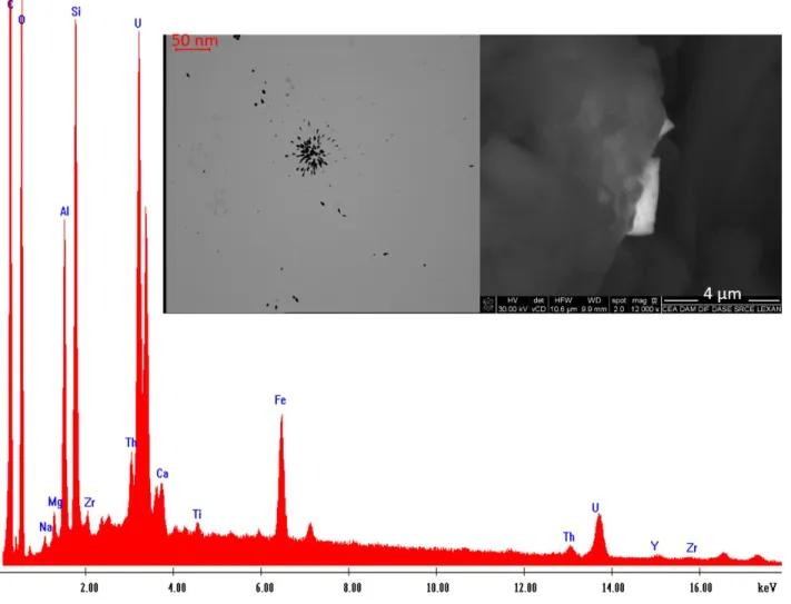 Fig. 4 Optical image of α-tracks recorded on the SSNTD after a 4 month-exposure time, SEM image and associated 