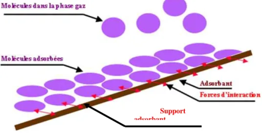 Figure I.3:Adsorption de molécule sur un adsorbant [6]. 