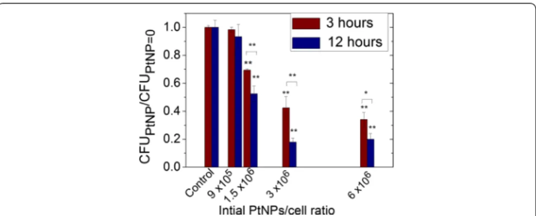 Fig. 2  Number of CFU for D. radiodurans incubated with increasing NPs/cell ratios for 3 or 12 h at 27 °C   (CFU PtNP ), normalized to the number of CFU for the control  (CFU PtNP=0 ) treated under the same conditions