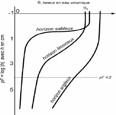Figure 5 : Caractéristiques de rétention θ(h) d‘un horizon argileux, d‘un horizon  limoneux et d‘un horizon sableux (BRUAUND et COQUET, 2004)