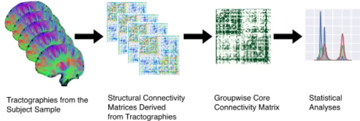 Figure 1: Clustering Process: the tractograms are transformed into a vectorial space where we can manipulate and average them.