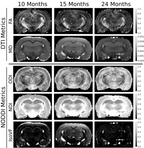 Fig. 2. Illustrations of a DTI and NODDI metrics in the same coronal slice for the three time points.