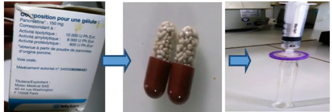 Figure 11: Préparation pharmaceutique  Creon® (complexe enzymatique). 