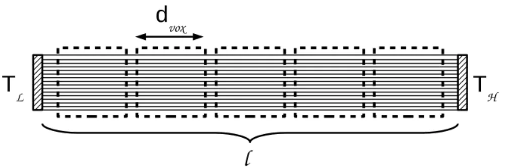 Fig. 1. Schematic representation of the proposed experimental setup. A spinal cord tract of length l lies between two gears maintained at two different constant temperatures, T L and T H , the fibers composing the spinal cord tract being aligned along the 
