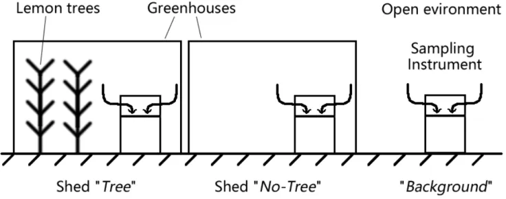 Figure 1.  The  sampling  condition used in the greenhouse  experiment.  The  first shed  of  the 