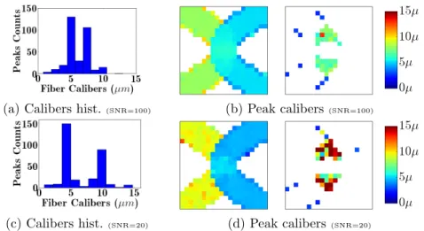 Fig. 4. Peaks caliber estimation using Equation (15). The fiber on the left has a caliber of 12µm and the fiber on the right has a caliber of 4µm