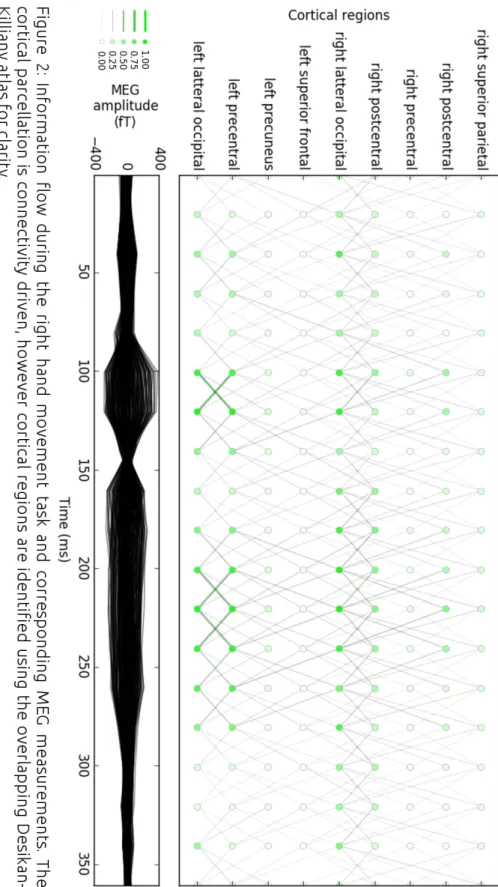 Figure 2: Information flow during the right hand movement task and corresponding MEG measurements