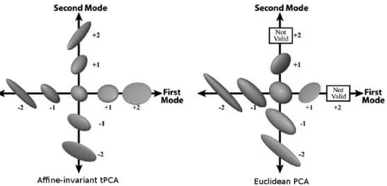 Figure 3.1 The first two modes of variation of the simulated data: (left) using the affine- affine-invariant tPCA, and (right) using linear PCA