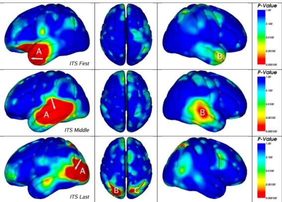 Figure 3.11 Correlation Maps between the Inferior Temporal Sulcus (ITS) and Other Brain Re- Re-gions