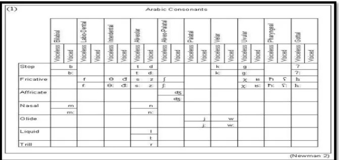 Figure 06: Arabic consonants (cf. Newman, 2006, p. 2) 