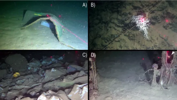 Figure 8.  Typology of macroscopic anthropogenic impacts in the Dohrn Canyon including litter and lost fishing  gears: (A) dumped mattress and plastic bag (st