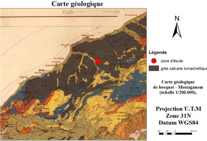 Figure 10. Carte géologique de la zone d’étude  1.6. La géomorphologie  