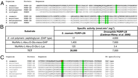 Fig. 5. PGRP-LB efficiently and specifically cleaves TCT in vitro. (A) Multiple sequence alignment of the enzymatic domains of S