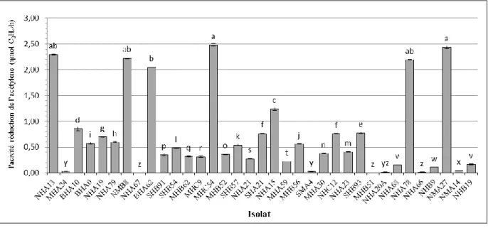 Figure III.13. Capacité de fixation d'azote des isolats estimée par le test de réduction de  l’acétylène