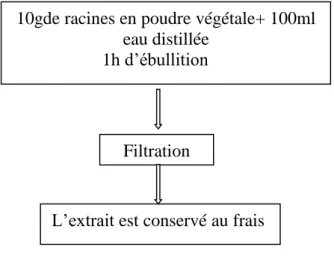 Figure 7. Protocole de préparation de la solution décoction 10g feuille de poudre végétale (rhamnus 