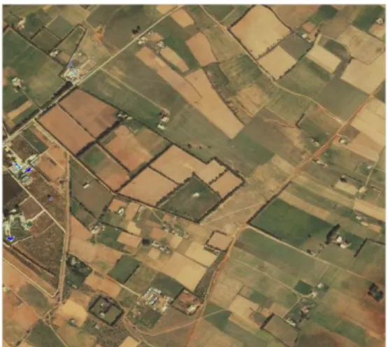 Figure 13 : image satellitaire de région d’Oran                    Figure14 : image satellitaire de  région de  Rabat  3.2 Implémentation de l’algorithme Cuckoo Search Modifié : 
