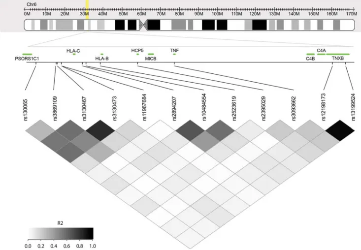 Figure 2. Location of the twelve selected SNPs in the MHC region (6p21) and linkage disequilibrium plot