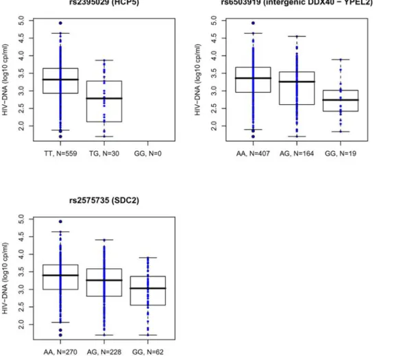 Figure 4. Boxplots for HIV-DNA levels in the PRIMO cohort for the three major SNPs. Cellular HIV-DNA level is highly correlated with the rs2395029 (HCP5), rs6503919 (intergenic DDX40 – YPEL2) and rs2575735 (SDC2) genotypes.