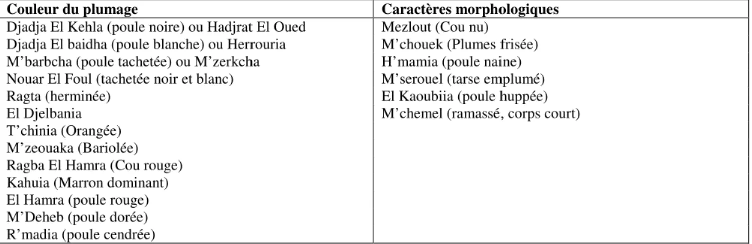 Tableau 1: Inventaire des phénotypes avicoles rencontrés dans les zones d’étude 