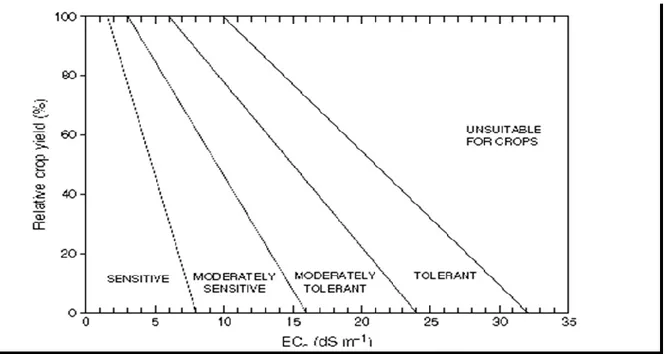 Figure 4: catégories pour la classification de la tolérance des cultures à la salinité (Shannon et Grieve,  1999)