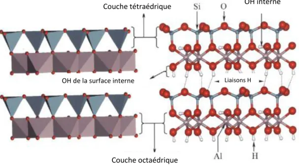 Figure I.11: Type de liaisons existant dans un minéral argileux de type 1 :1 [22]. 