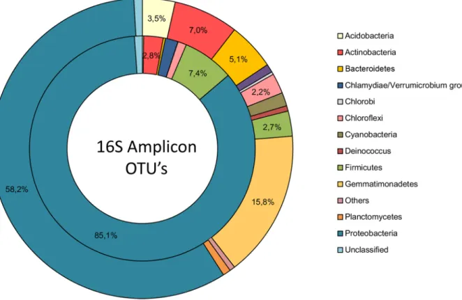Figure 2. Composition of the Namur coprolite microbiota at the phylum level. The dataset obtained from high-throughput sequencing (external circle) and Operational Taxonomic Units (OTUs) assigned to the 16 S rRNA gene amplicon (internal circle) were used t