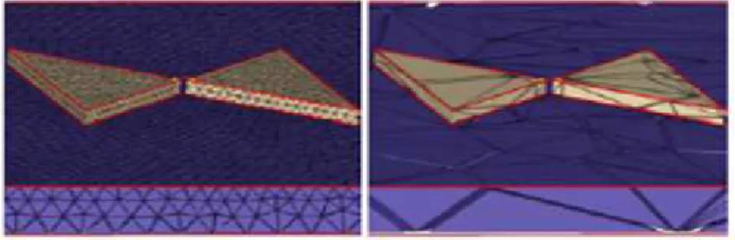 Figure II.10 : simplification par voxelisation. [11] 