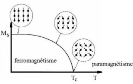 Fig. 1.3 Courbe  M s (T ) d’un matériau ferromagnétique, [14]. 