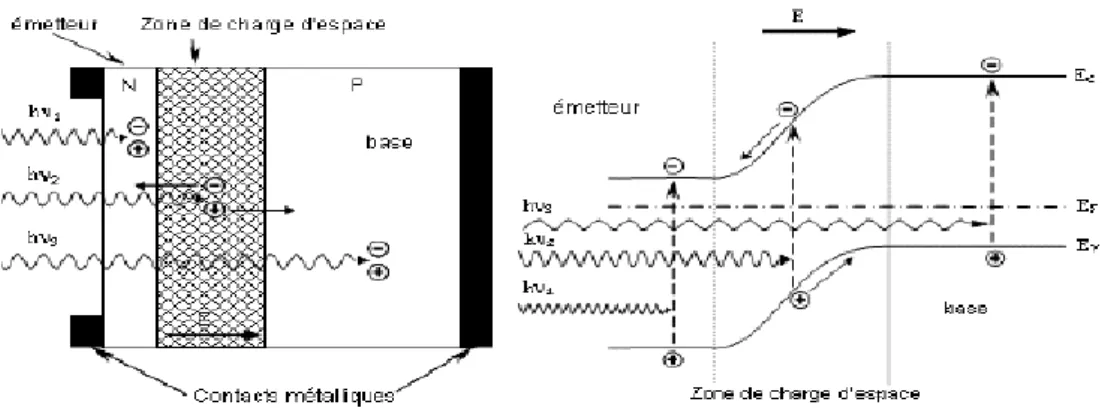 Figure II.9 : structure (image gauche) et diagramme de bande (image droite) d’une cellule  photovoltaïque