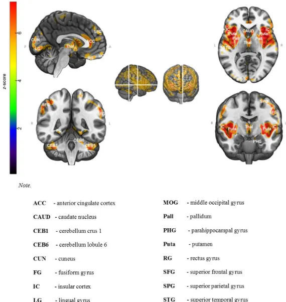 Figure 3. Pattern of gray matter atrophy in older adults compared with young adults. 