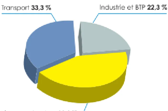 Figure 1.1: Structure de la consommation finale par secteur. 