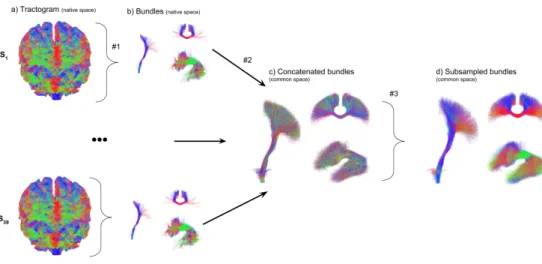 Figure B.9: Overview of the template creation pipeline. From whole brain tractogram (a) bundles are extracted (b) and then warped and concatenated in a common space (c), finally the density bias is reduced by a spatial subsampling (d)