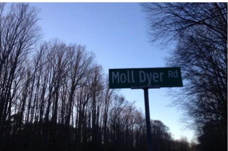 Figure 6: Moll Dyer 