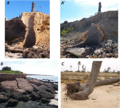 Fig. 2: (A) a roman ruin eroded by the sea on the foreshore between Ras Ameur and Borj El H’sar, up in May 2011; down in May 2012