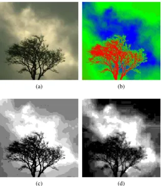 Fig. 2: (a) A simulation with almost all hard pixels. (b) A simulation with a lot of fuzzy pixels