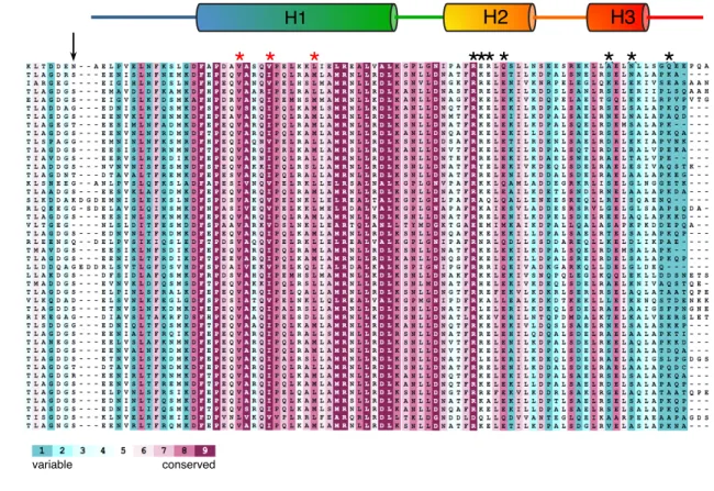 Figure S2. Conservation of the TssB C-terminal region.  Sequence alignment of the TssB C-terminal region from EAEC and  selected TssB homologues from bacteria indicated on right