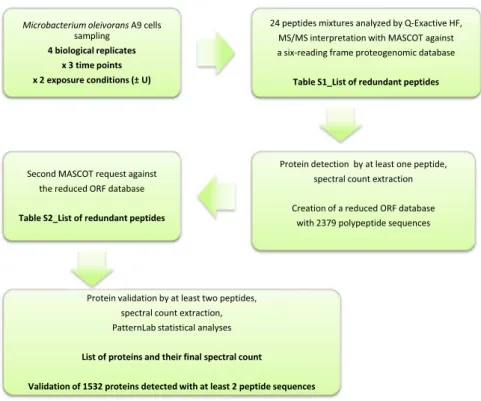 Fig. 1 shows the schematic ﬂ owchart of experiments, data processing and results that were obtained and formatted in.xls tables