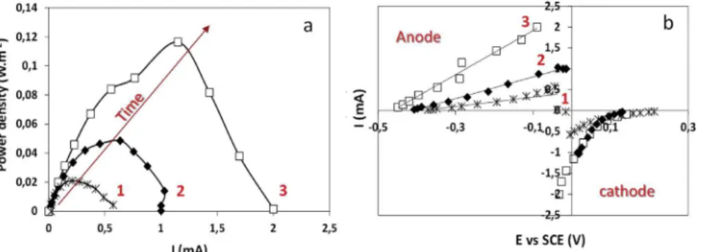 Fig. 3 e Single medium MFC performance at different stages of electrocatalytic biofilms development