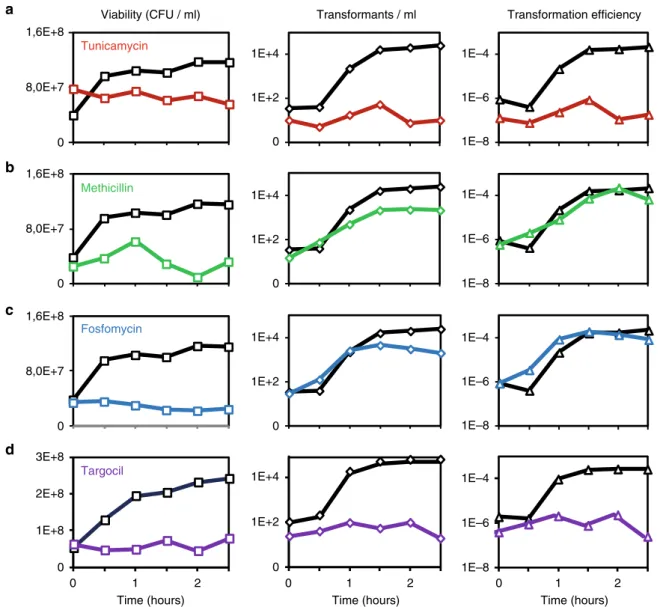 Fig. 1 Effect of cell wall-targeting antibiotics on genetic transformation. For details of the experimental procedure, see Supplementary Fig