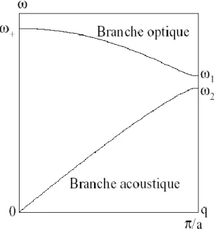 Figure III.4: Courbes de dispersion des vibrations dans un réseau linéaire de 2 atomes par maille primitive