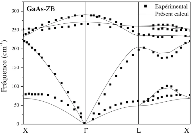 Figure III.8 : Courbe dispersion des phonons de la phase Zinc blende du composé GaAs.  