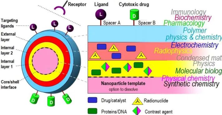 Fig. 5.  Layered structure of a multifunctional nanoparticles: A ‘mille-feuilles’ of disciplines