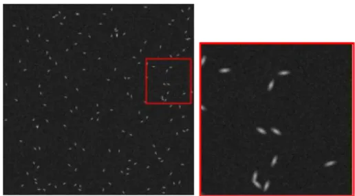 Fig. 4. Illustration of the impact of new added objects in a current active set of objects (left)