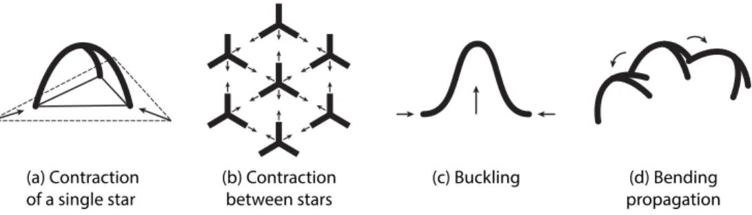 Figure 2: Geometric intuition behind our approach, at several length scales. At the scale of a single star, the contraction of the pre-stretched fabric back to its rest dimensions is arrested by the plastic star bonded to the fabric