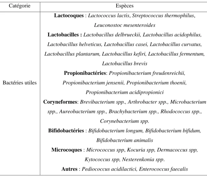 Tableau 3: Les bactéries utiles dans le lait (Frank et  Hassan., 2002). 