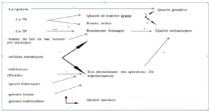 Figure n° 03 : Les critères de qualité du lait et leurs impacts (Cauty et Perreau, 2009)