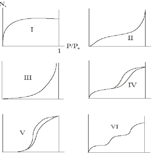 Figure 10. Classification des isothermes selon Brunauer et al. 