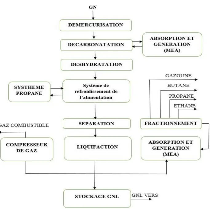 Figure 2: Schéma de principe des procédés du GNL. 