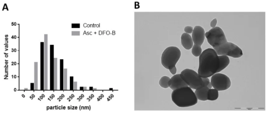 Figure 6: Co 3 O 4 P size after a 28 day incubation with ascorbate and DFOB.  